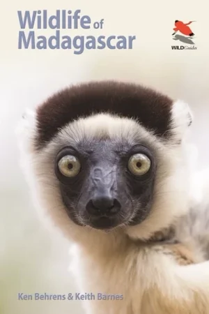 Wildlife-of-Madagascar-Princeton-WILDguides-and-Fieldguides-001